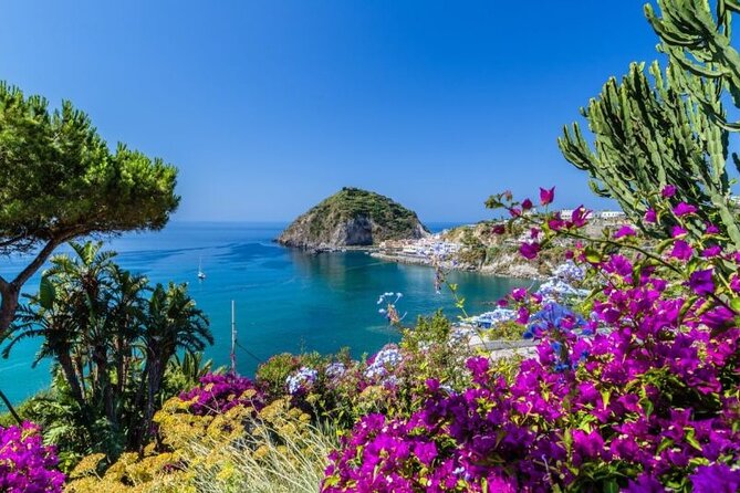 VIP Yacht Escape from Rome to Naples Island Gems Ischia & Procida - Procida: pastel villages, swimming coves, and slow-island energy