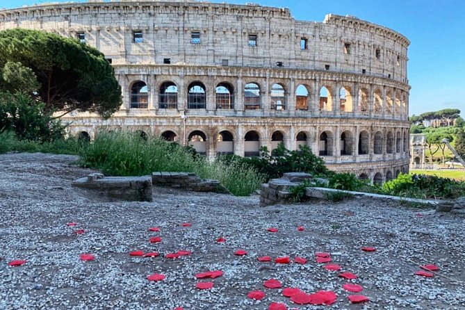 Walking Tour at The Colosseum and Forum with an Archaeologist - Tickets, IDs, and mobile entry: keep your details straight