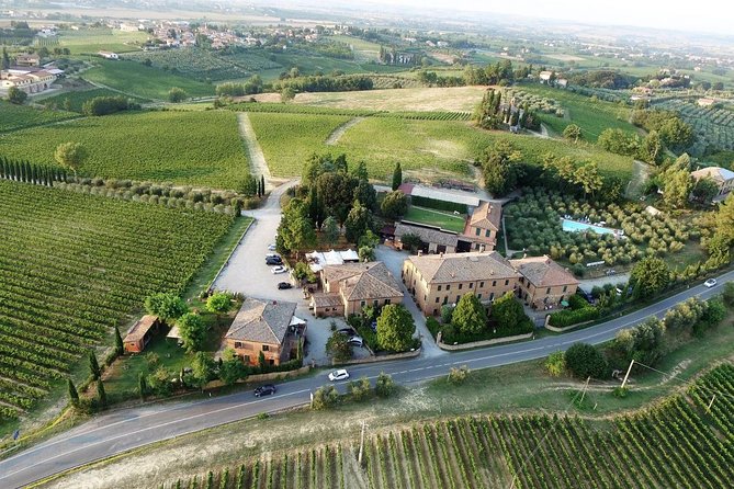 Wine tasting in Montepulciano and visit to Pienza, in Tuscany from Rome - Winery time in Montepulciano: Nobile tasting, Vin Santo, cheese, and olive oil
