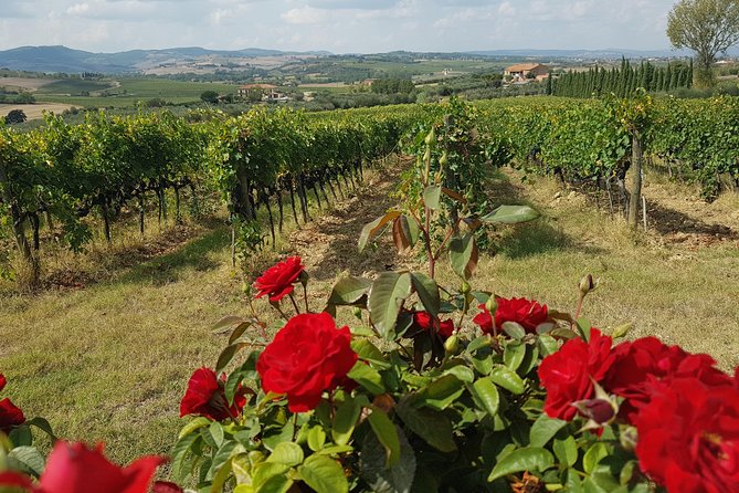 Wine tasting in Montepulciano and visit to Pienza, in Tuscany from Rome - Who this day trip fits best (and who might want a different plan)