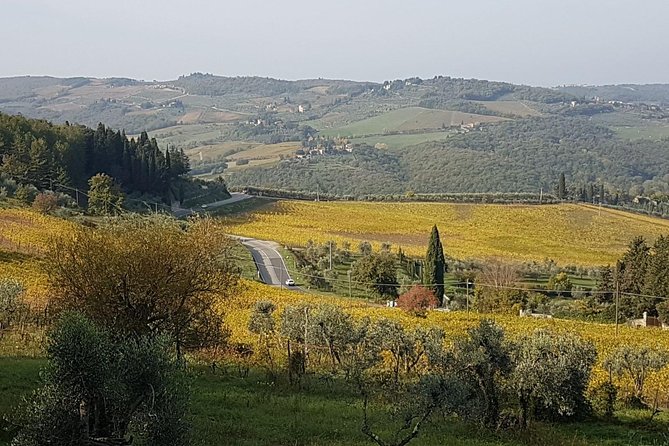 Wine tasting in Montepulciano and visit to Pienza, in Tuscany from Rome - Should you book this Montepulciano and Pienza day from Rome?