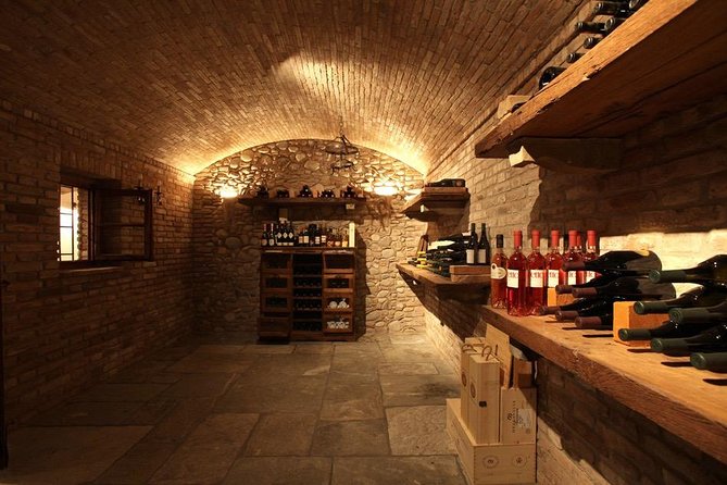 Wine tasting in Roman Countryside: 3-hour tour from Rome - Should You Book This Roman Countryside Wine Tour?